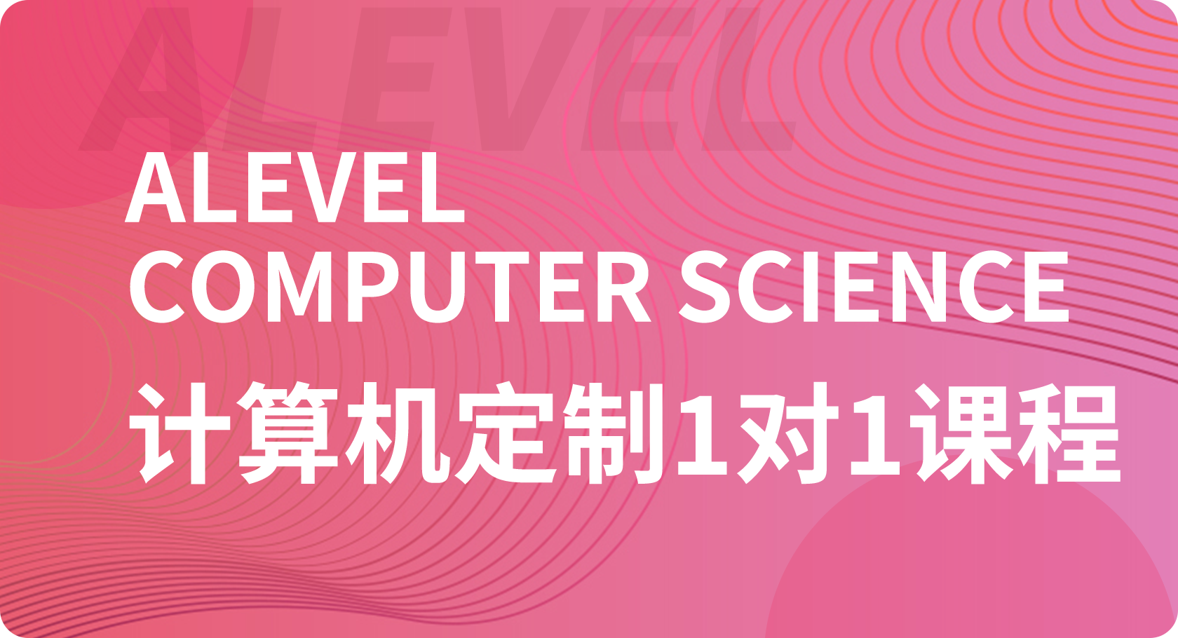 Alevel计算机1对1