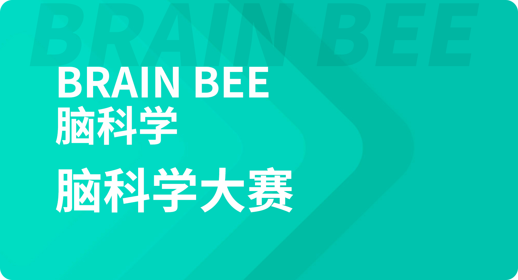 Brain Bee脑科学大赛